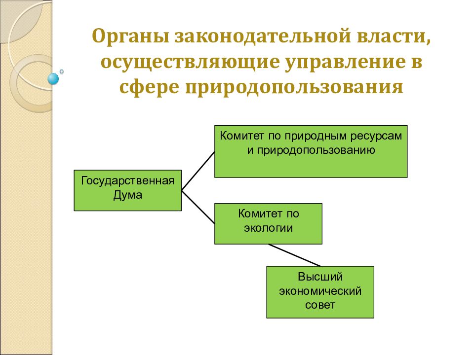 Кто осуществляет управление. Система управления охраны окружающей среды и природопользования в РФ. Органы управления природопользованием. Система органов власти в сфере природопользования. Органы власти в государственном управлении в сфере экологии.