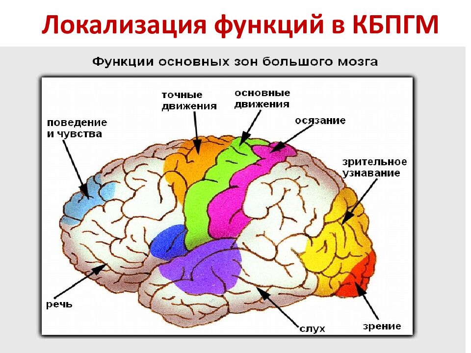 Локализация функций в КБПГМ