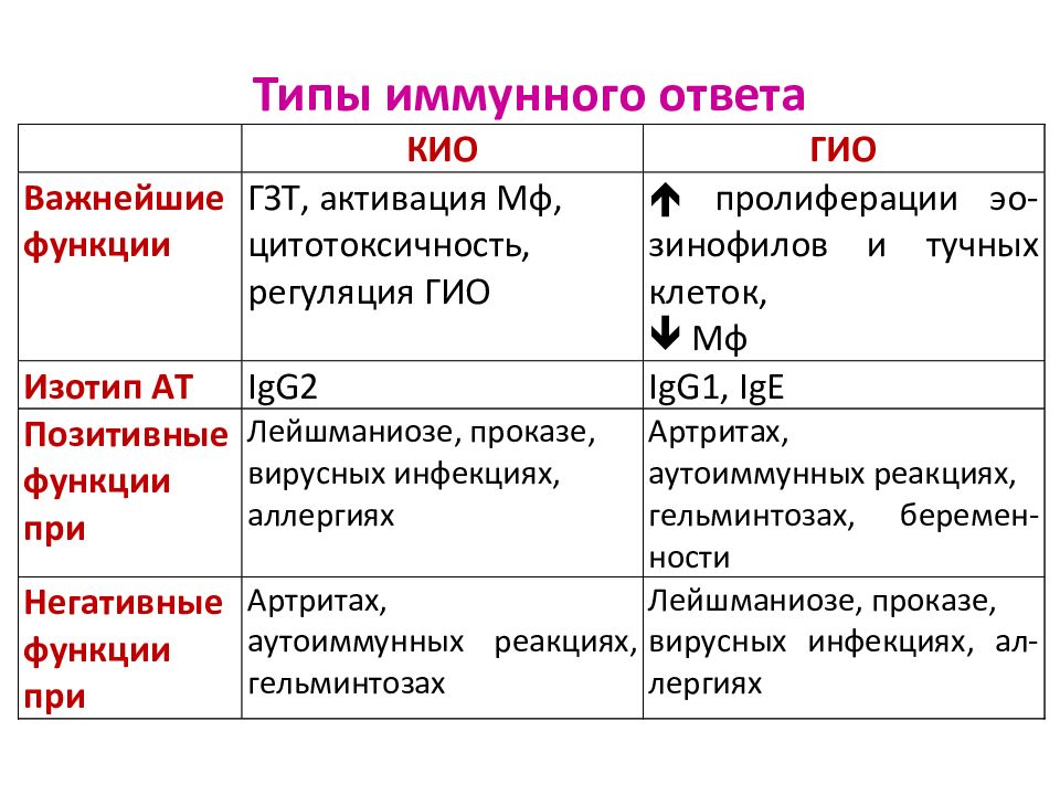 3 иммунных ответа. 3 иммунных ответа. фазы иммунного ответа иммунология. типы реакций иммунитета. 19.
