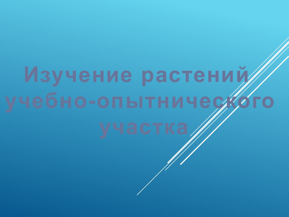 Изучение растений учебно-опытнического участка