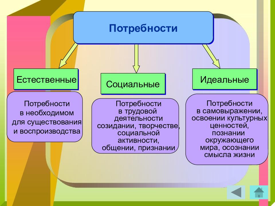 Биологические потребности картинки для презентации