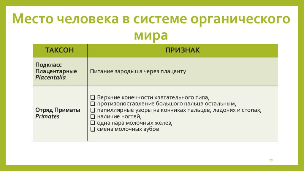 Формирование представлений об эволюции человека место человека в зоологической системе презентация