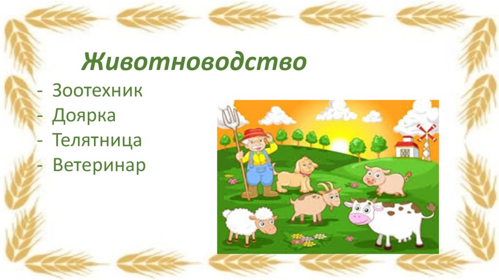 Животноводство профессии людей. Сельскохозяйственные профессии для детей. Сельскохозяйственные профессии для дошкольников. Рисунок на тему сельское хозяйство. Профессии сельского хозяйства для детей дошкольников.