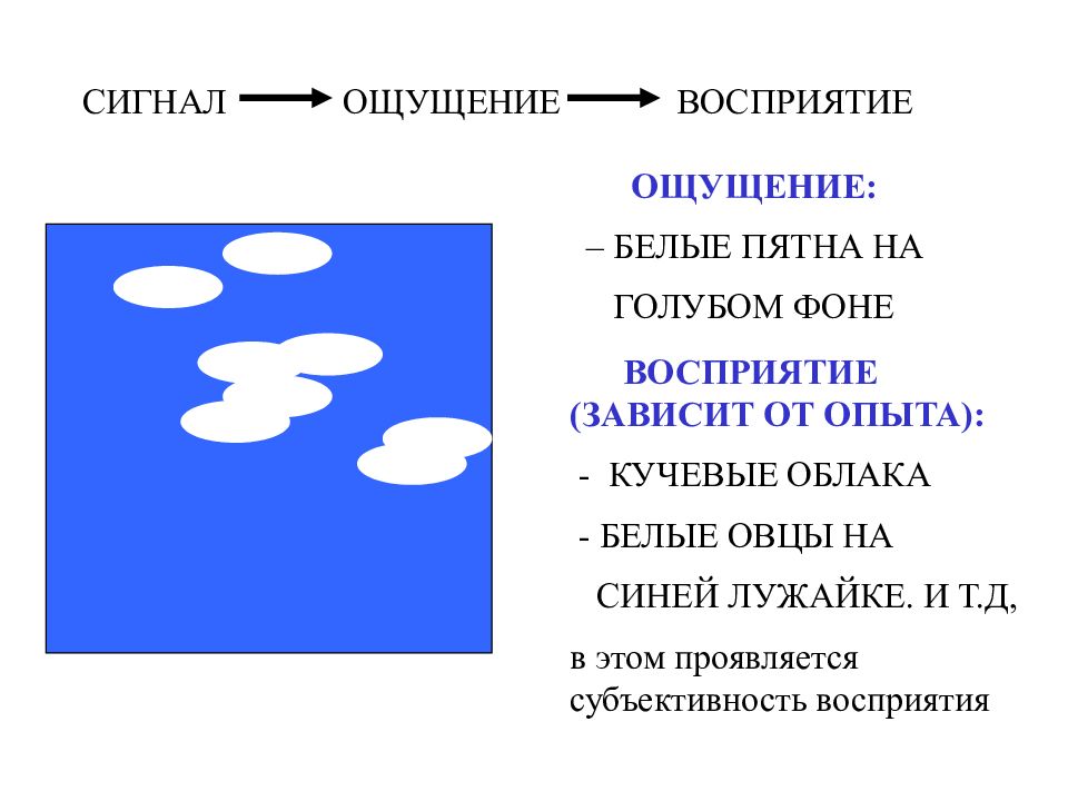 Восприятие сигналов