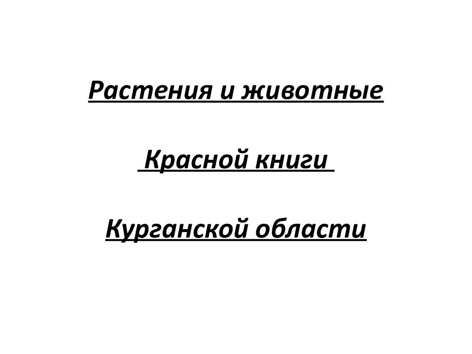 Красная книга курганской области растения и животные презентация