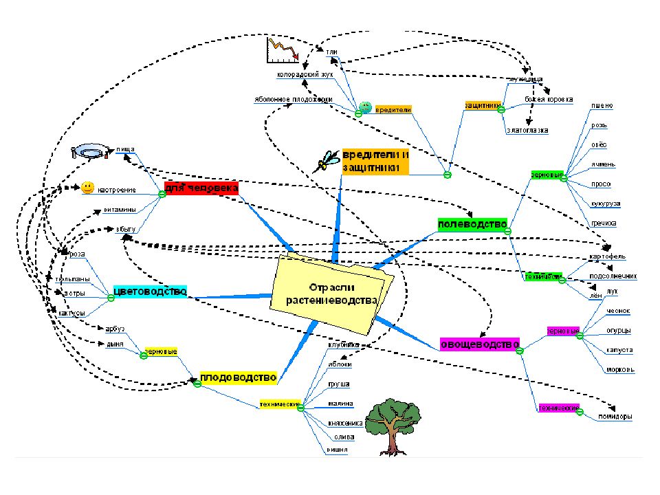 Интеллект карта растениеводство. Интеллектуальная карта ростенев. Интеллект карта отрасль. Инструмент "интеллектуальная карта".