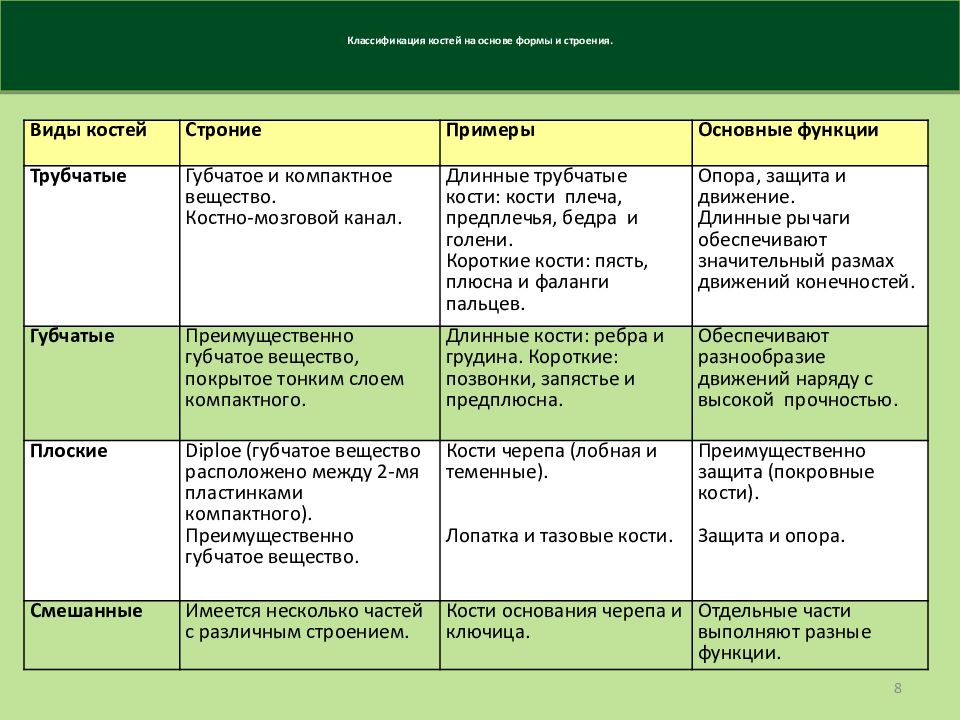 Трубчатые кости таблица