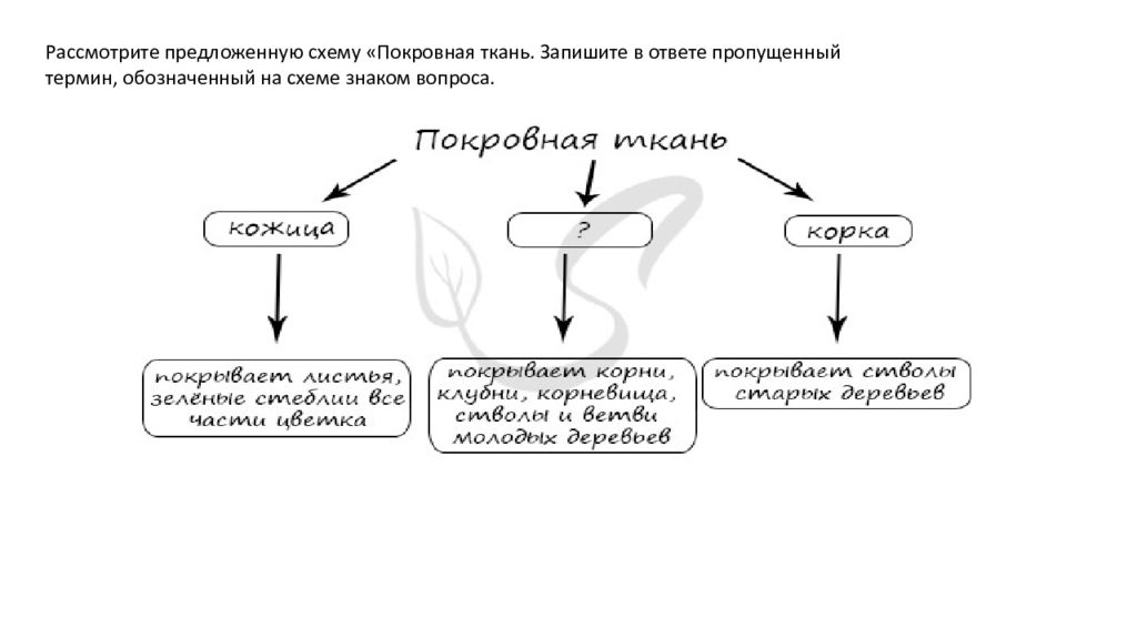 Рассмотрите предложенную схему запишите в ответе