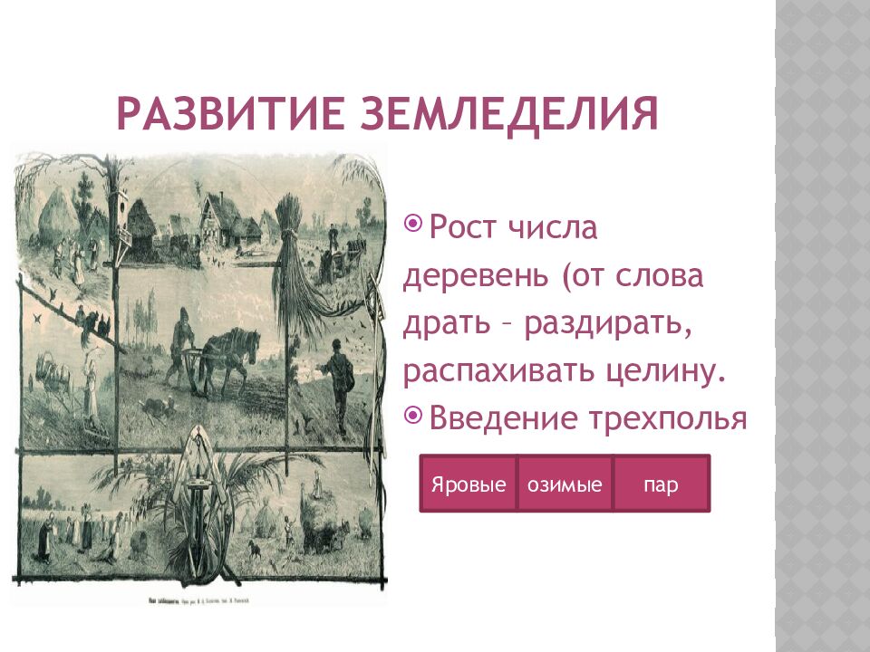 Развитие земледелия