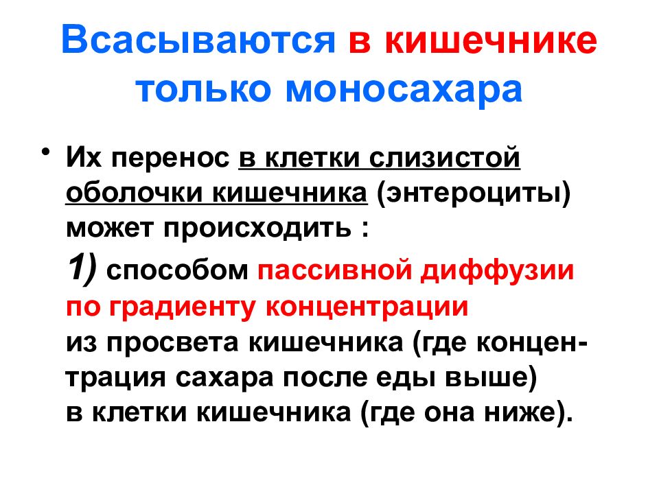 УГЛЕВОДЫ: функции и обмен Всасываются в кишечнике только моносахара