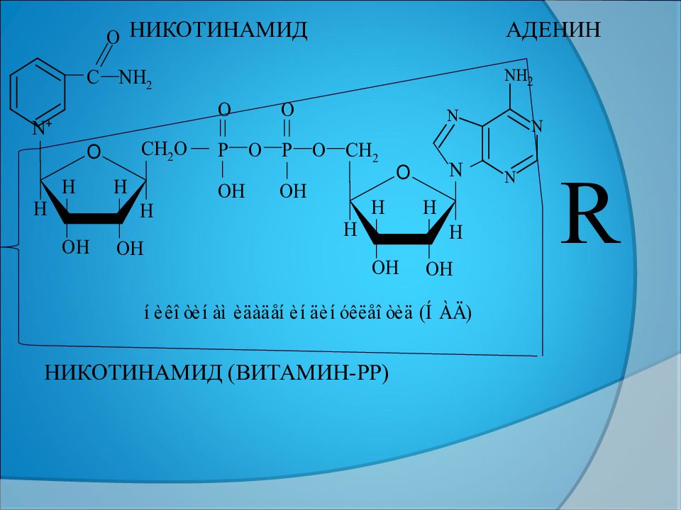 Niacinamide. Никотинамид. Никотинамид аденин. Никотинамид витамин. Аденин витамин.