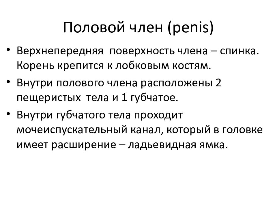 Хитрый мудак увеличил половой член за счёт компании