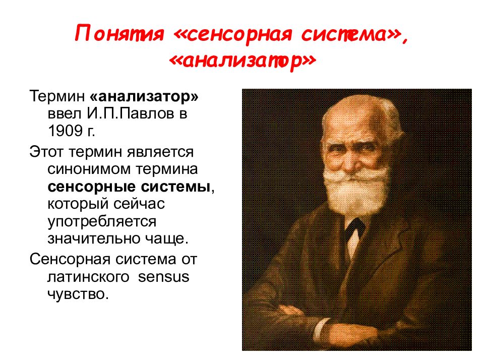 Ввел в науку. Понятие об анализаторах ввел. Кто ввел понятие анализатор. Кто открыл анализаторы. Учение об анализаторах разработано.