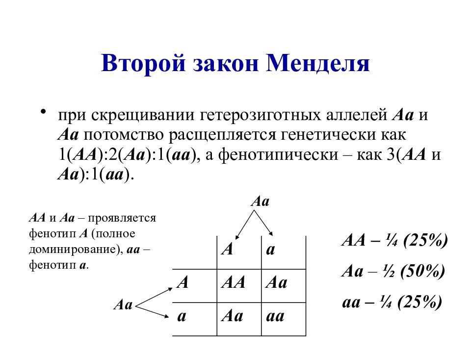 Презентация 1 закон менделя