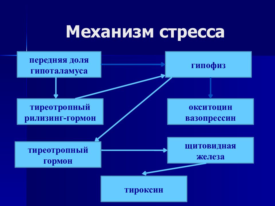 Механизм стресса. Механизмы развития стресса. Механизмы стрессоустойчивости. Механизмы формирования стресса. Механизм возникновения стресса.