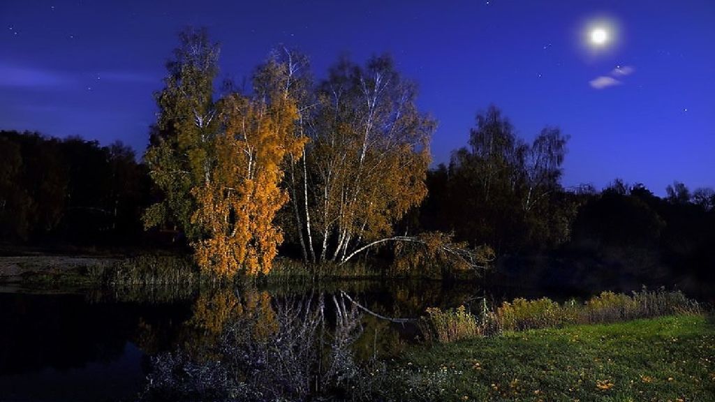 Ю в поздним вечером. Осенняя ночь. Ночной пейзаж. Березы ночью. Вечер на реке.