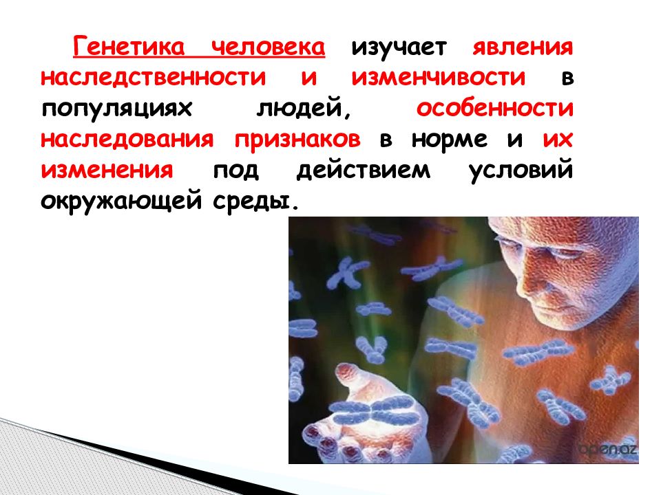 Что изучает генетика. Генетика человека. Введение генетика человека. Генетика человека презентация. Генетика и медицина презентация.