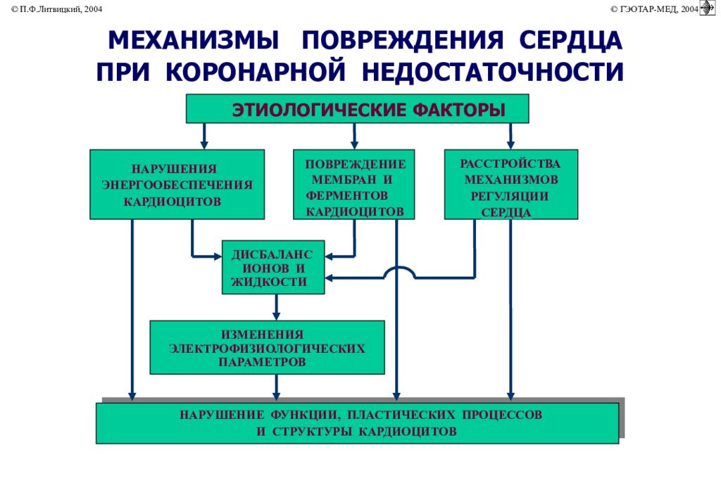 Коронарная недостаточность презентация