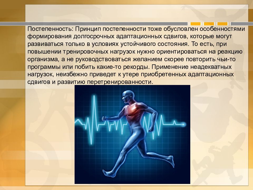 Презентация на тему адаптация человеческого организма к физическим нагрузкам