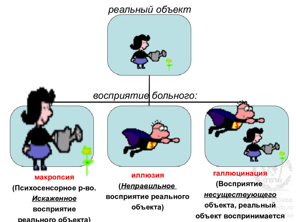 Реальный объект. Отличие иллюзий от галлюцинаций. Иллюзии и галлюцинации отличия. Различия между иллюзиями и галлюцинациями. Чем иллюзия отличается от галлюцинации.