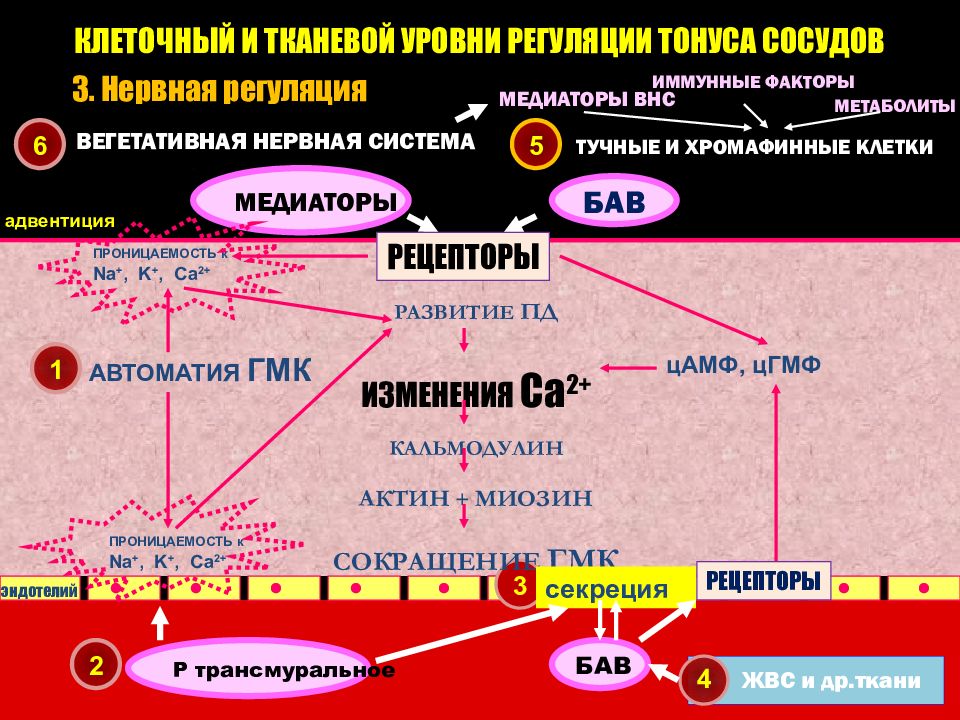 Недостаточность сосудистого тонуса