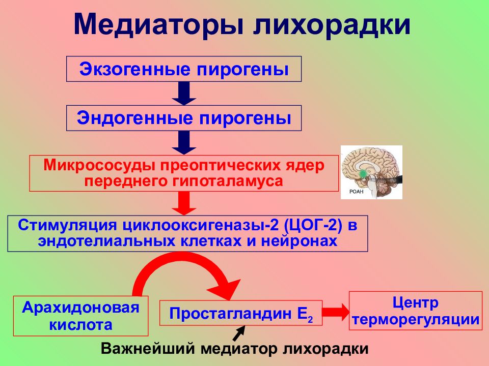 Патофизиология в картинках