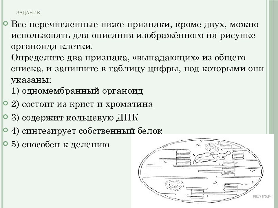 Задания 20 биология