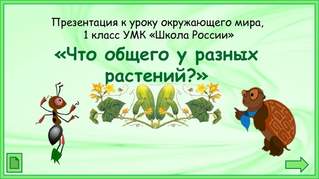 Презентация 1 класс