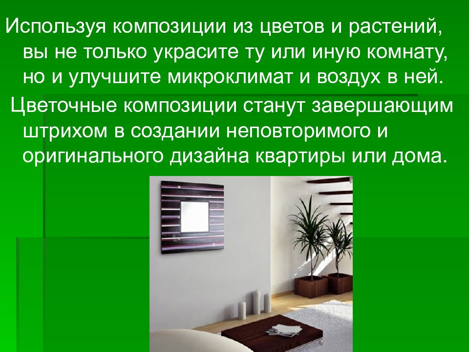 Растение в интерьере жилого дома творческий проект 6 класс