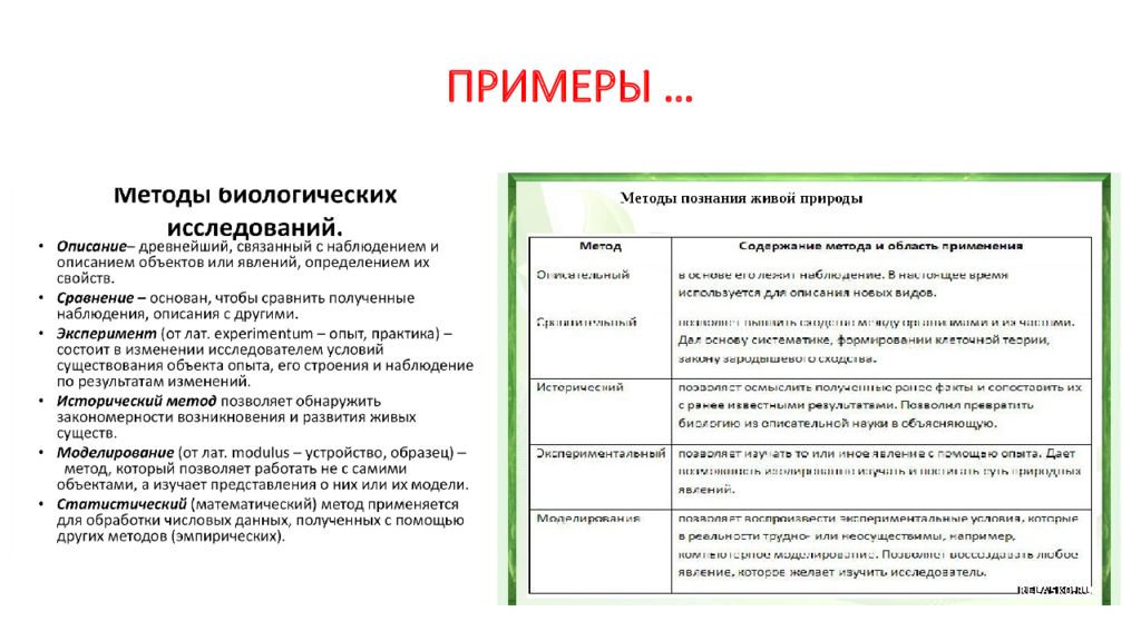 Биологические методы исследования. Методы биологических исследований статистический. Биологические исследования примеры. Статистический метод в биологии. Методы биологических исследований таблица с примерами.