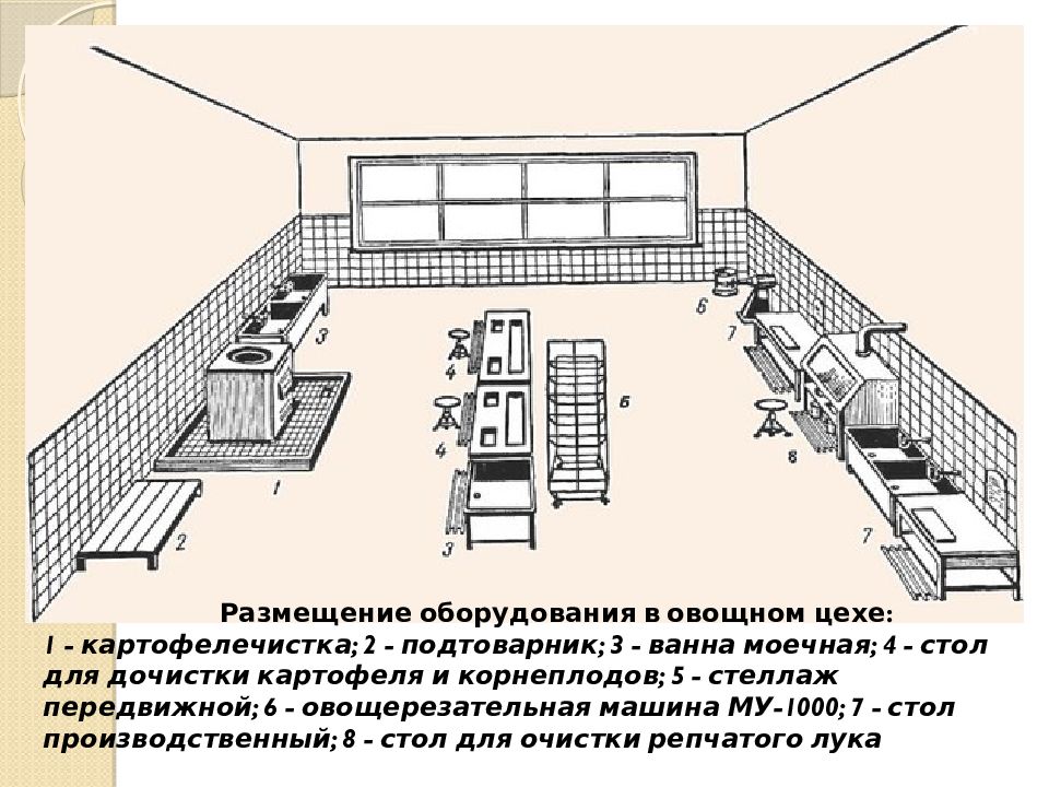 Организация рабочего места по обработке овощей. Схема оборудования овощного цеха. Схема размещения оборудования в овощном цехе. Схема овощного цеха предприятия. Технологические линии овощного цеха.