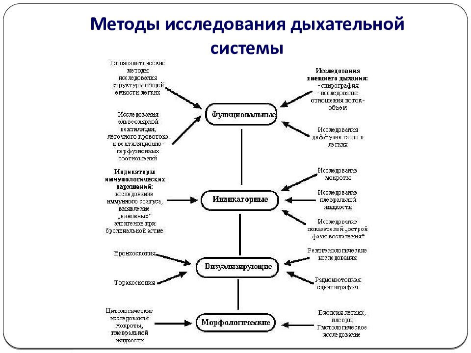 Виды способы методы методики лучевая анатомия семиотика