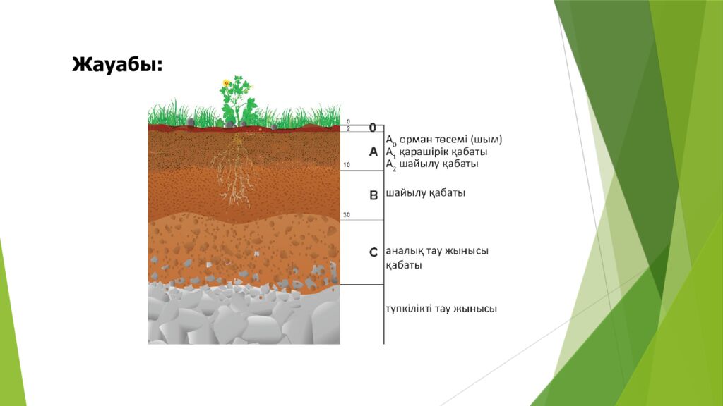 ТОПЫРАҚ ЖӘНЕ ОНЫҢ ҚҰРАМЫ МЕН ҚҰРЫЛЫМЫ