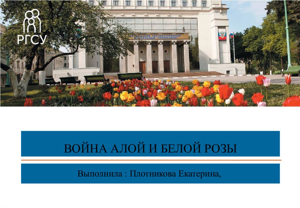 Война Алой и Белой розы