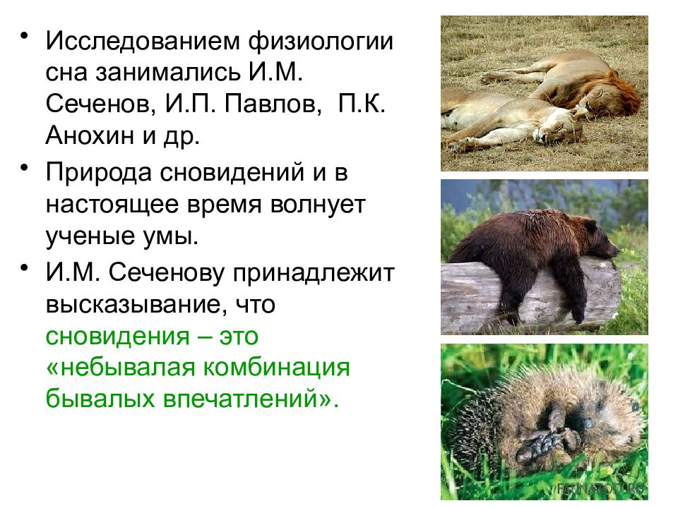 Физиология и этология животных. Физиология и этология животных