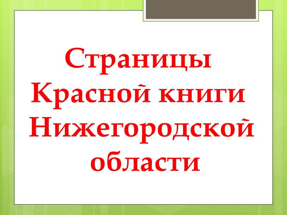 Красная книга нижегородской области презентация