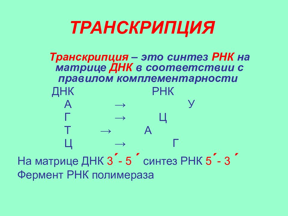 Принцип комплементарности днк. Принцип комплементарности РНК. Комплементарность ДНК И РНК. Принцип комплементарности ДНК И ИРНК. Принцип комплементарности ДНК И РНК.