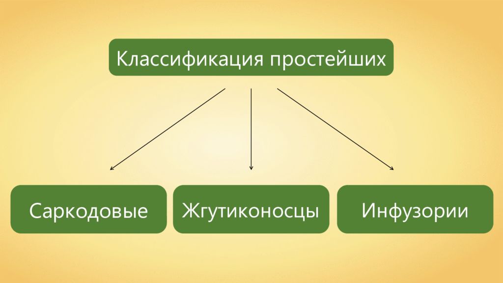 Питание простейших. Протисты Тип питания. Способы питания простейших. Типы питания простейших. Простейшие по типу питания.