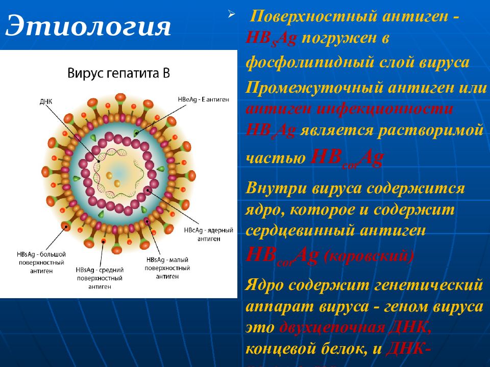 Презентация вирусный гепатит в