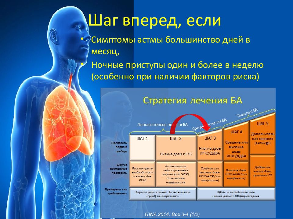 Астма симптомы у взрослых. Признаки астмы. Признаки бронхиальной астмы. Астма признаки проявления.