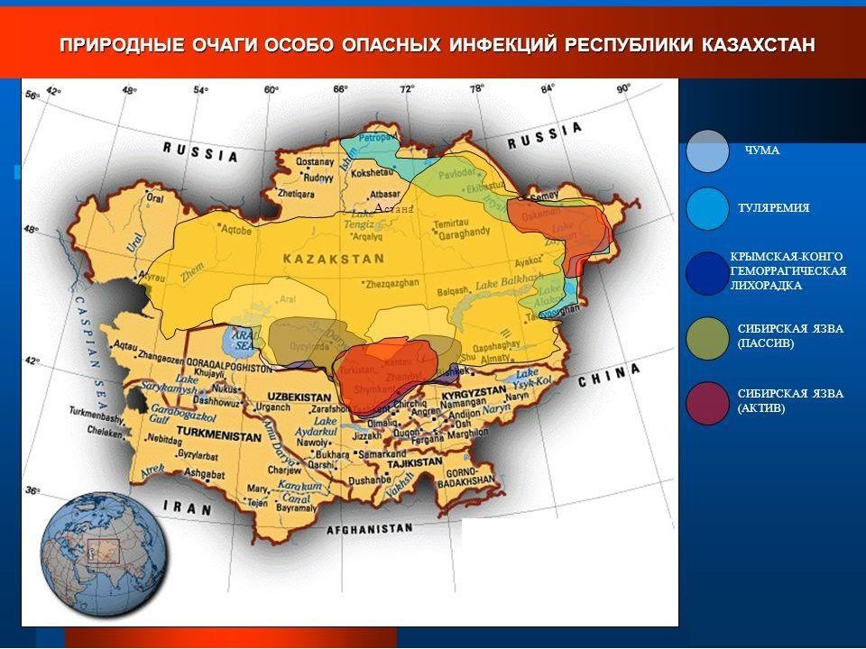 Территорией республики казахстан являются. Природные очаги туляремии в России. Природные очаги чумы Казахстан. Сибирская язва природные очаги. Очаги сибирской язвы в России.