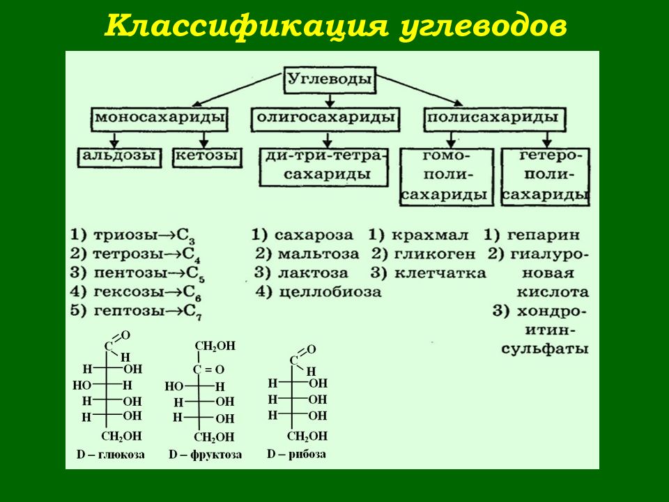 Полисахариды биохимия презентация