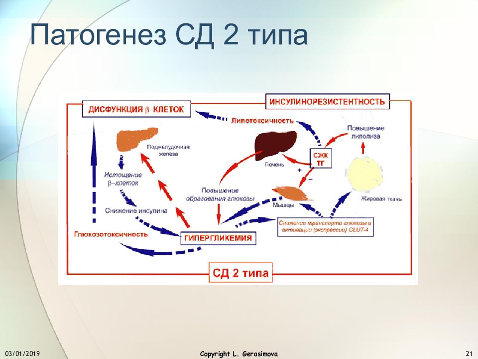 Сд 2 типа. Механизм развития СД 2 типа. Патогенез СД 2 типа. Патогенез СД 2 типа патофизиология. Патогенетический механизм СД 2 типа.