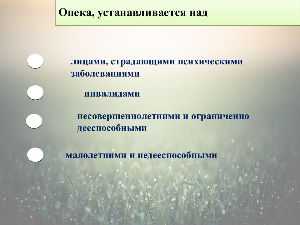 Устанавливается над. Опека устанавливается. Попечительство устанавливается над лицами. Опека устанавливается над тест ответы. Над какими лицами устанавливается опека.