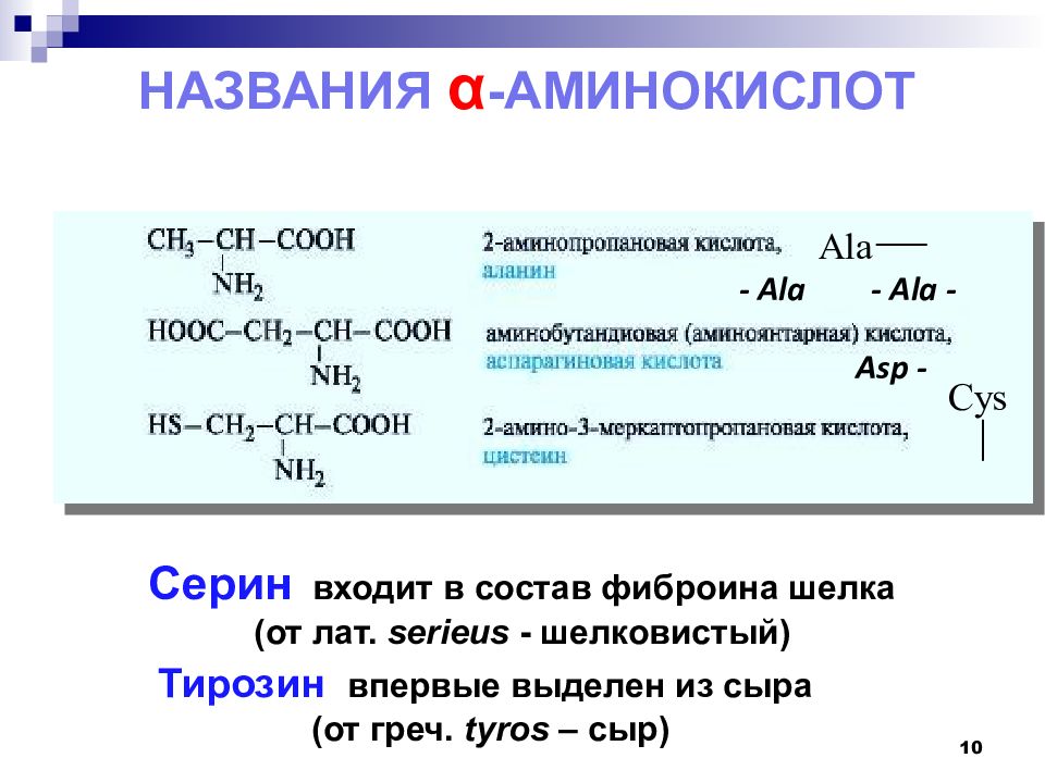 Презентация амины и аминокислоты 10 класс