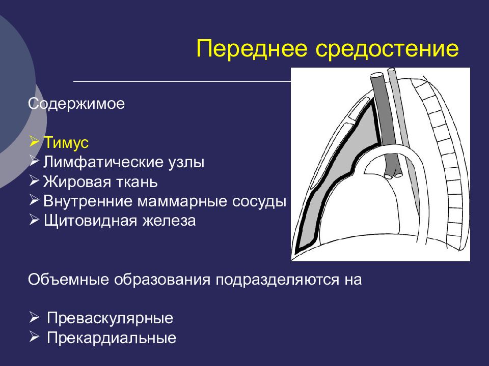 Средостение топографическая анатомия презентация