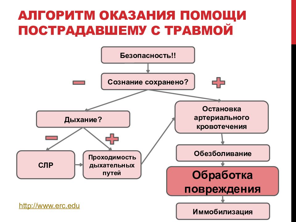 Первая помощь при неотложных состояниях закон и порядок презентация