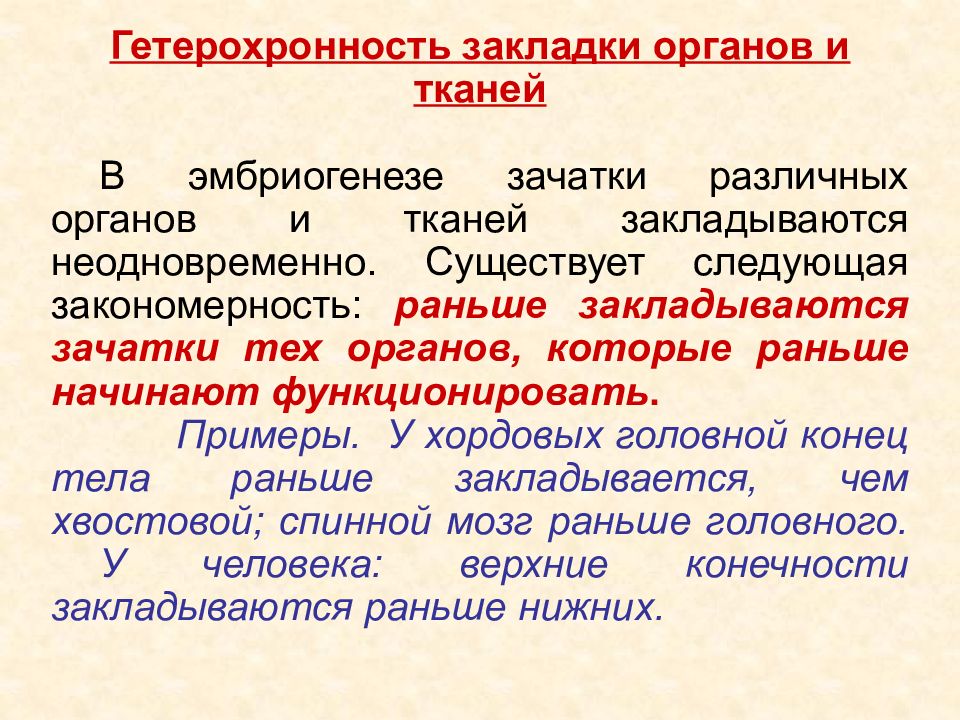 Гетерохронность. Гетерохронность закладки органов и тканей. Эмбриогенез закладка органов и тканей. Гетерохронность это. Эмбриональные закладки человека.