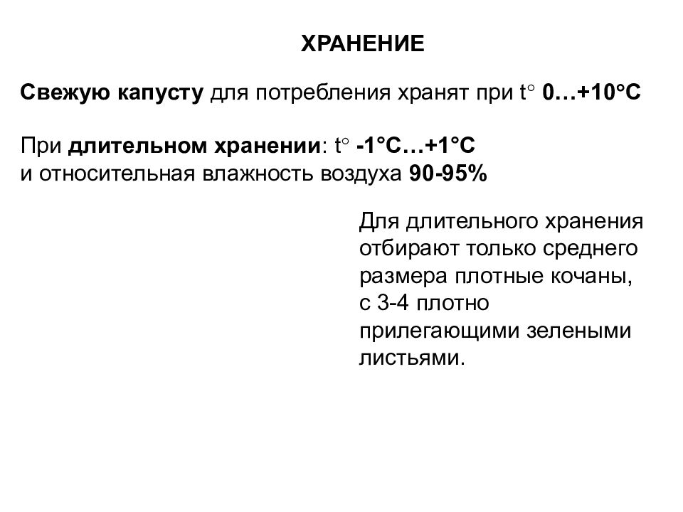 Презентация технология выращивания капусты