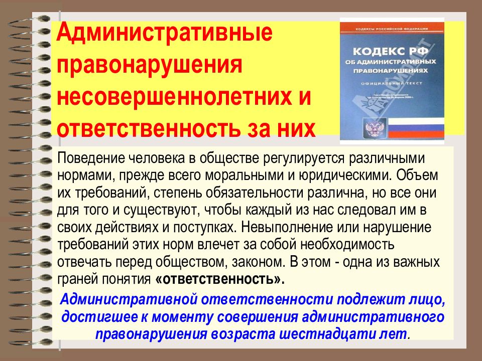 Презентация на тему административная ответственность 11 класс